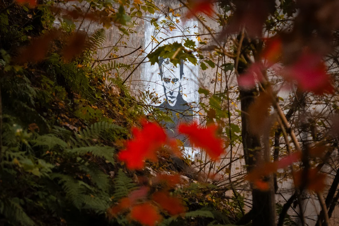 Bunkier w lesie kazuńskim. Sprawa śmierci ks. Jerzego Popiełuszki