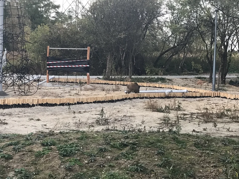Park Międzytorze w Płocku - październik 2026 r.