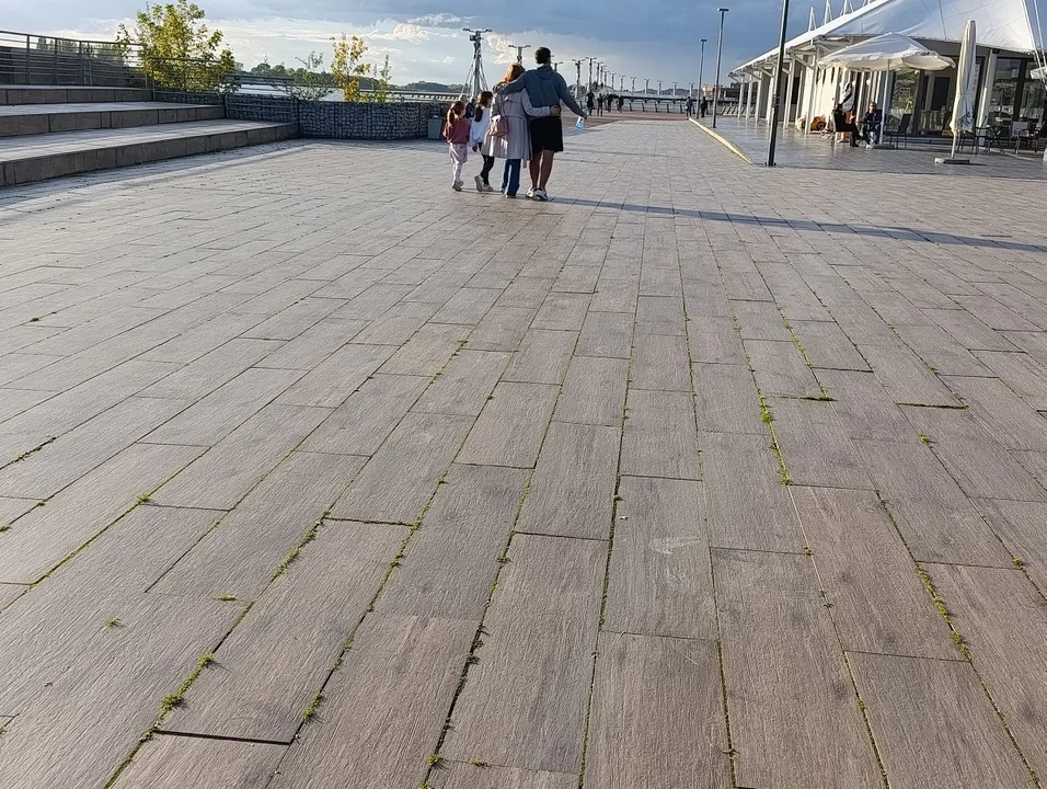 bulwary płockie