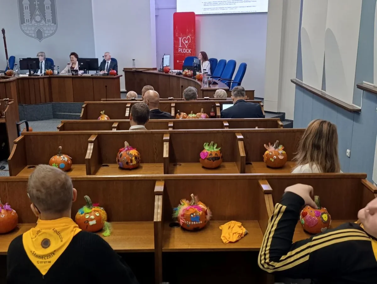 Dynie przejęły sesję w płockim ratuszu. Co robiły na obradach?